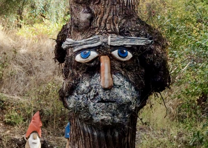 WhatsApp Image 2025-10-31 at 15.58.46