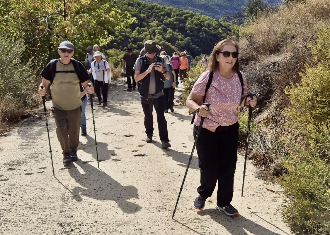 WhatsApp Image 2025-10-31 at 16.01.39