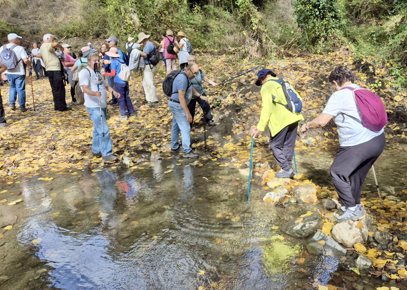 WhatsApp Image 2025-10-31 at 16.02.15