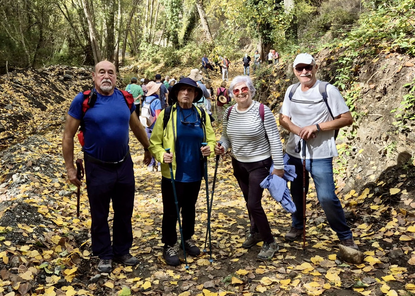 WhatsApp Image 2025-10-31 at 16.02.16