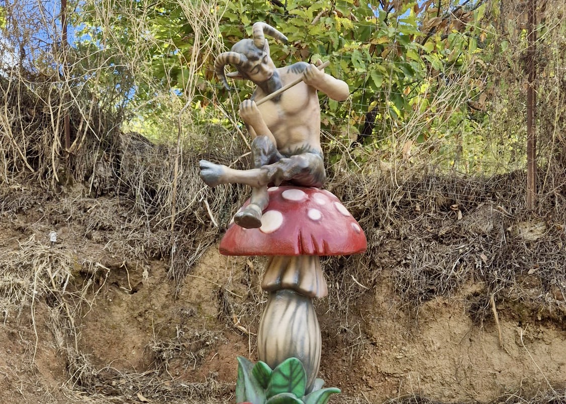 WhatsApp Image 2025-10-31 at 16.03.52