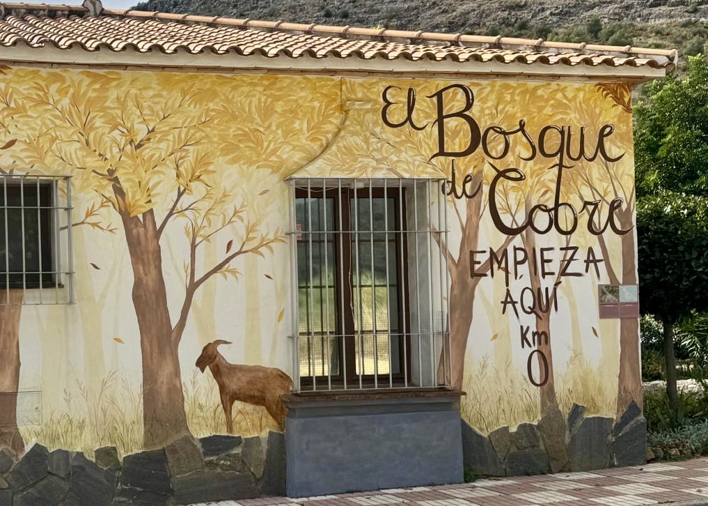 WhatsApp Image 2025-10-31 at 17.19.31