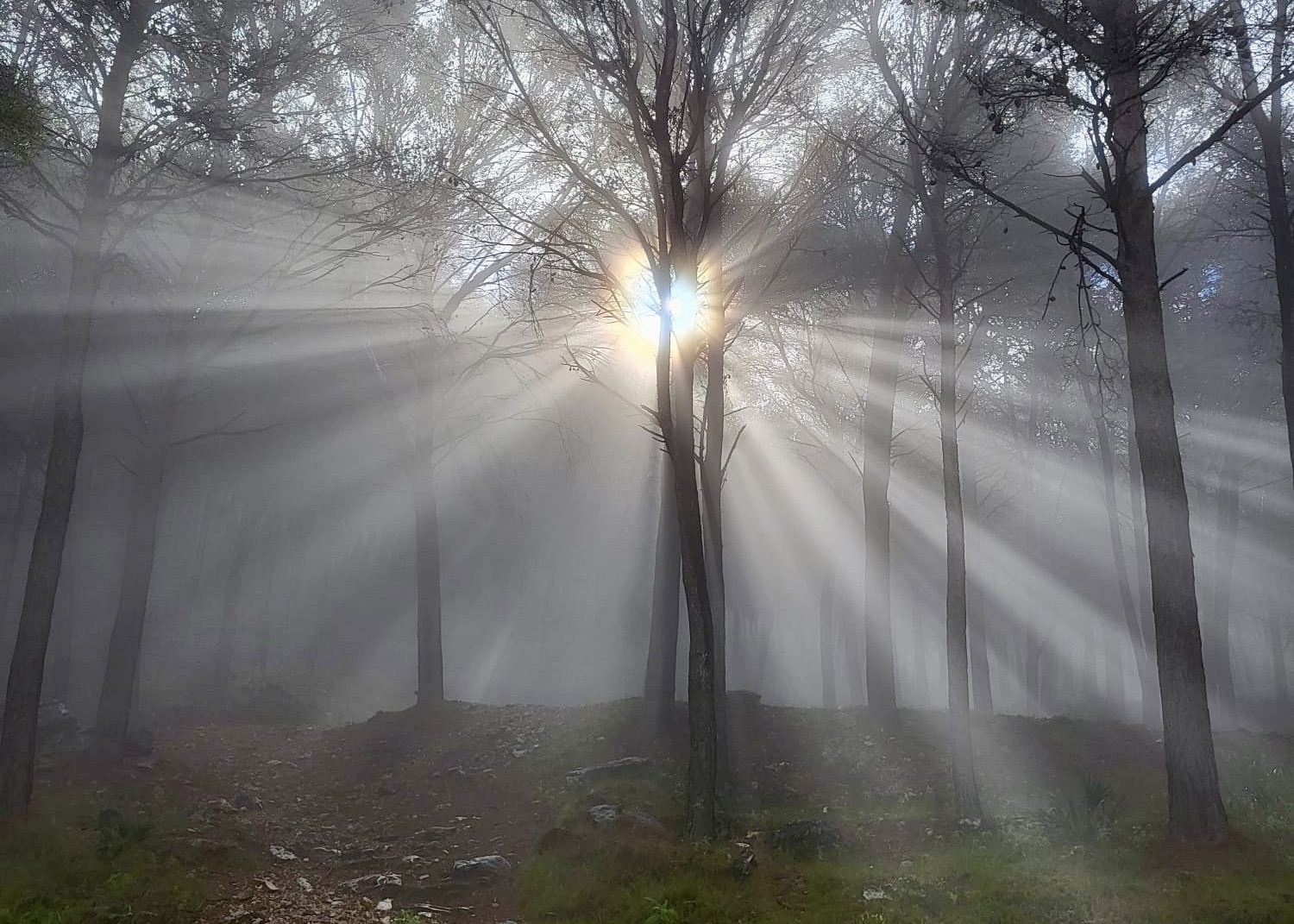 PHOTO-2026-01-16-15-58-20