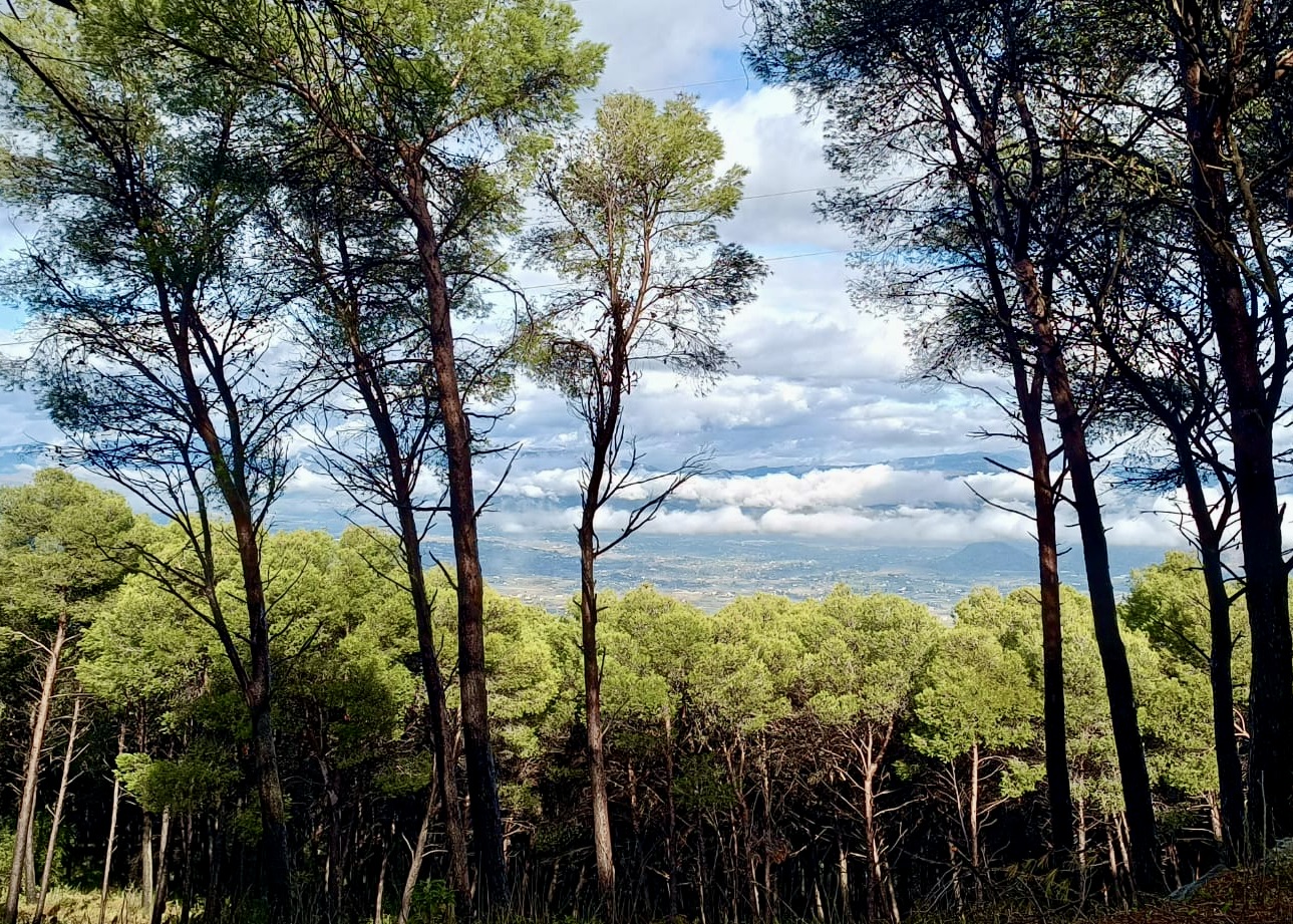 PHOTO-2026-01-16-16-10-25