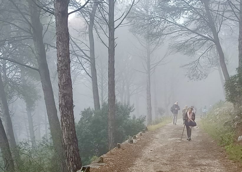 PHOTO-2026-01-16-16-10-27