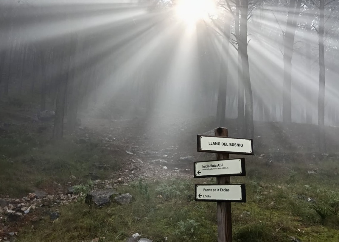 PHOTO-2026-01-16-16-44-46