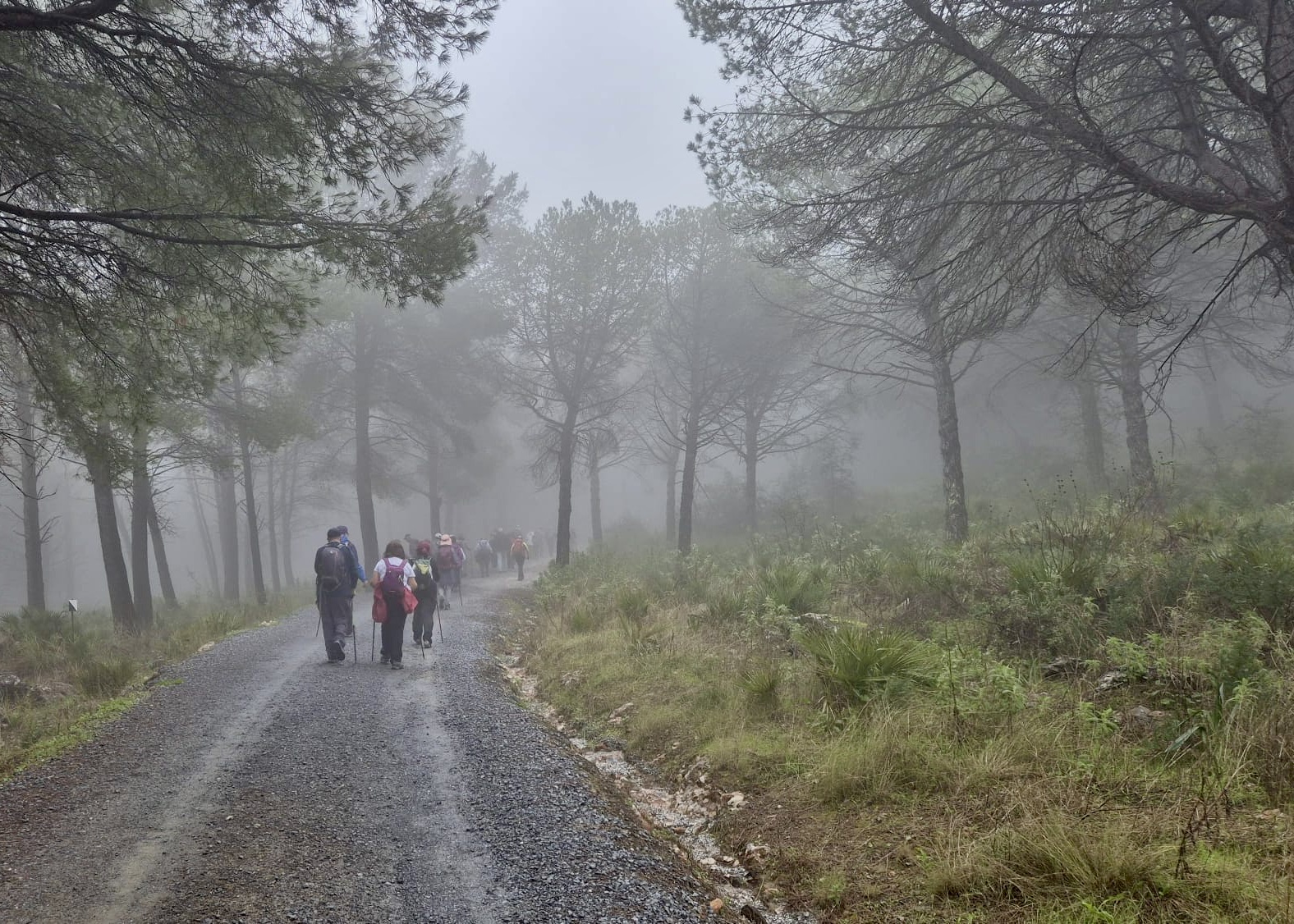 PHOTO-2026-01-16-18-47-07