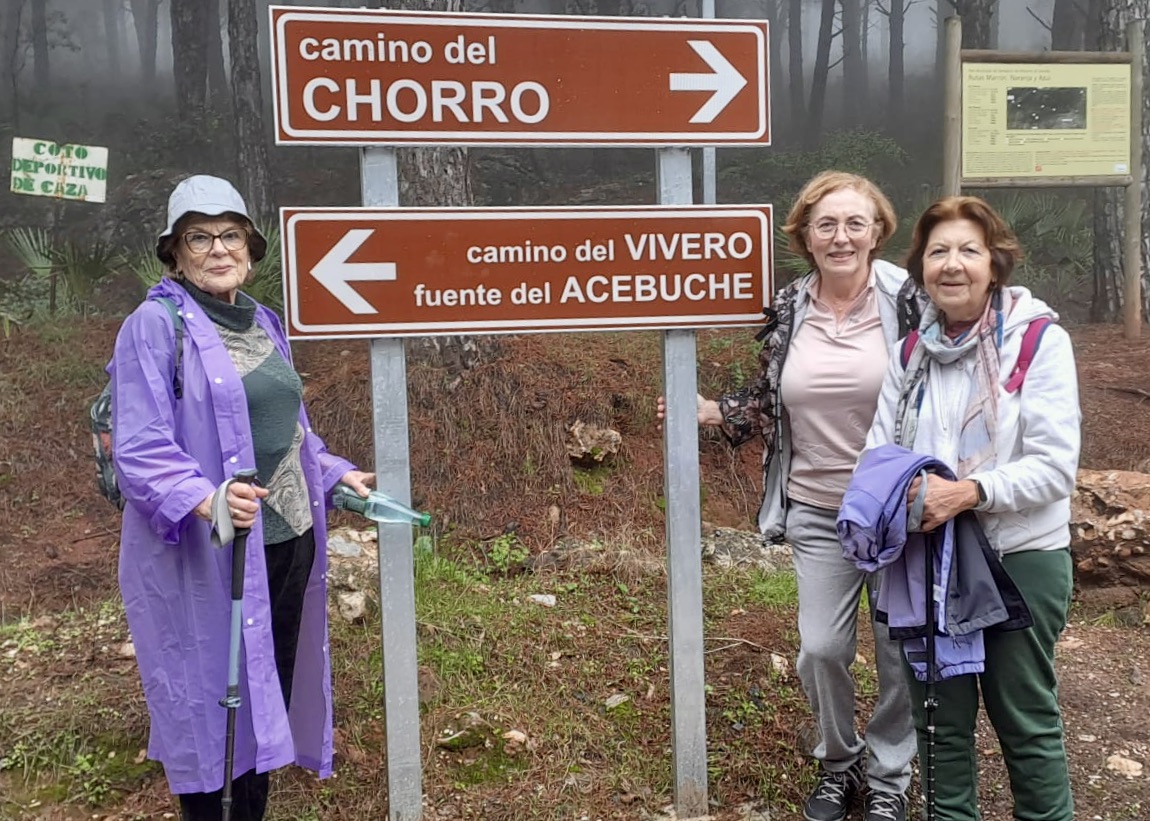 PHOTO-2026-01-16-19-11-12