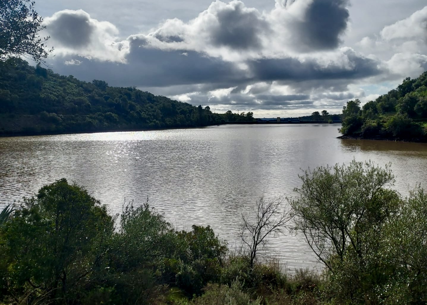 PHOTO-2026-01-24-21-33-30 (1)