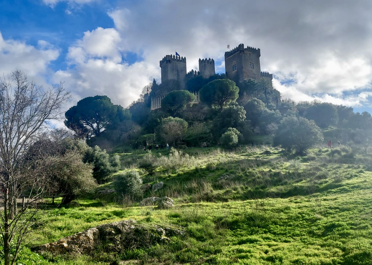 PHOTO-2026-01-24-21-33-30