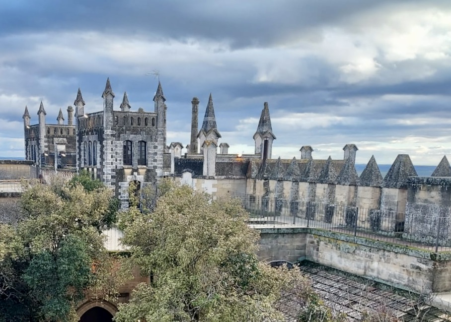 PHOTO-2026-01-24-21-33-32 (1)