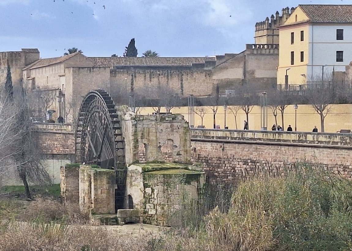 PHOTO-2026-01-25-22-04-52 (1)