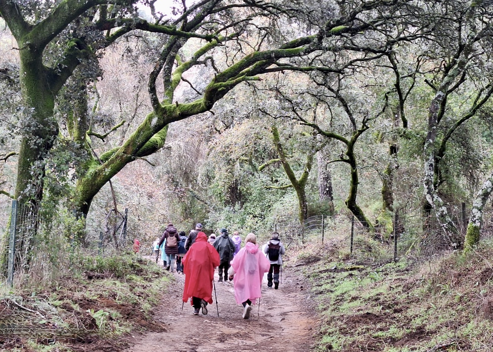 PHOTO-2026-01-25-22-27-56