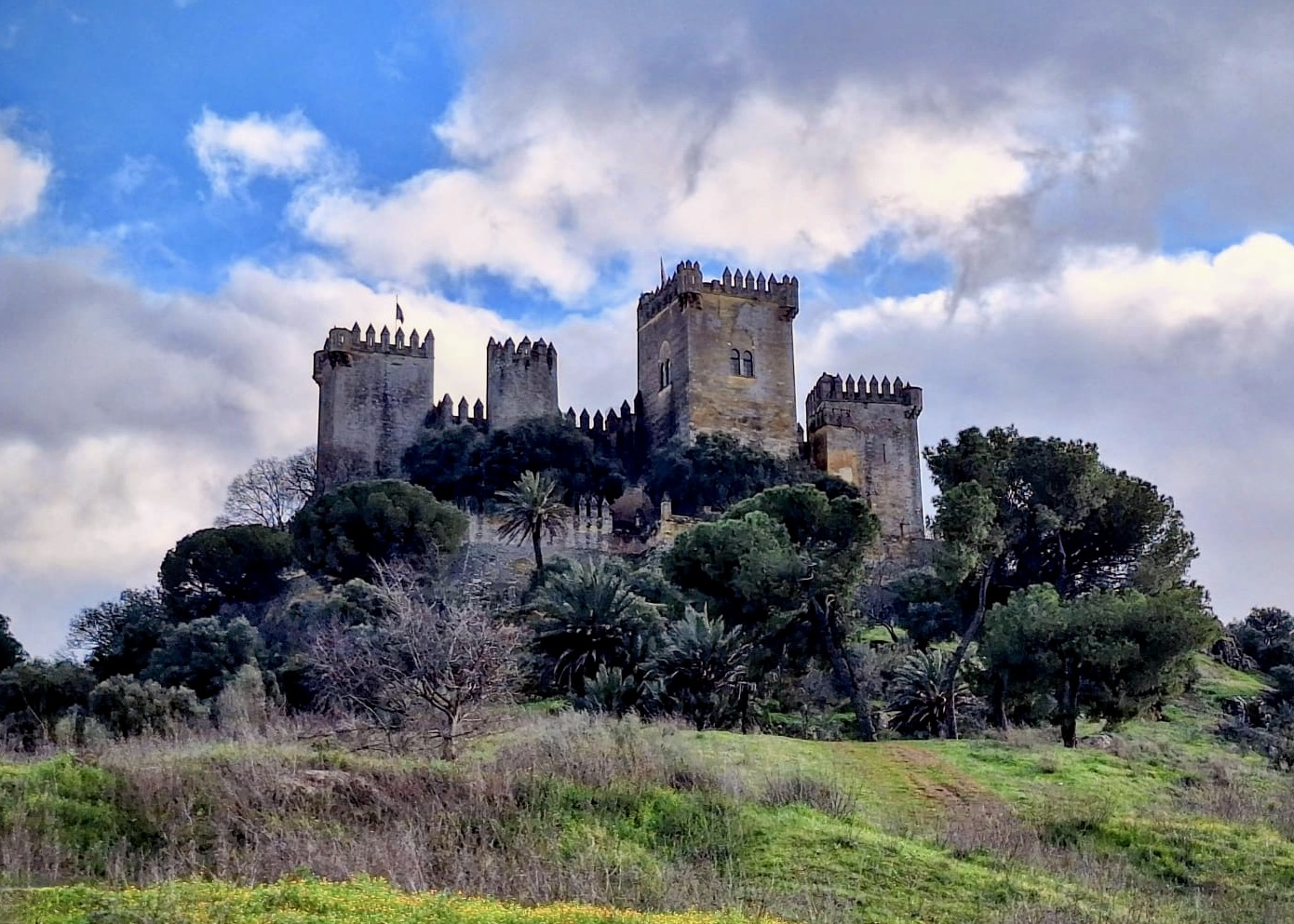 PHOTO-2026-01-25-23-43-04