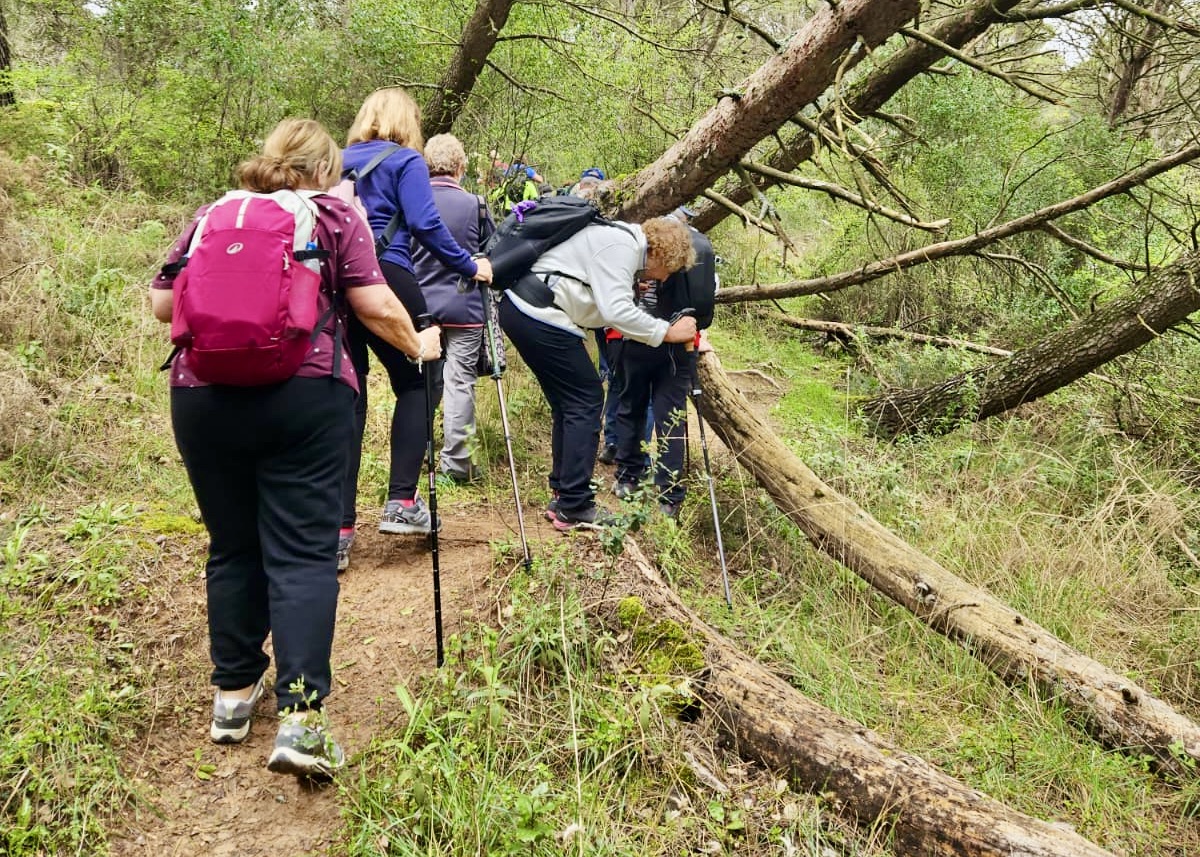 PHOTO-2026-03-20-17-20-44