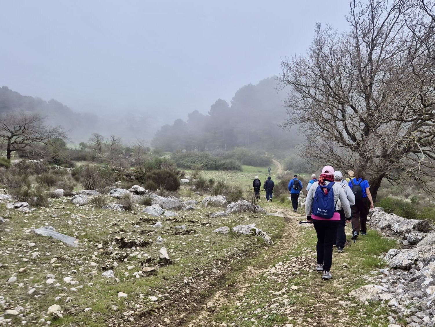 PHOTO-2026-03-20-17-20-50