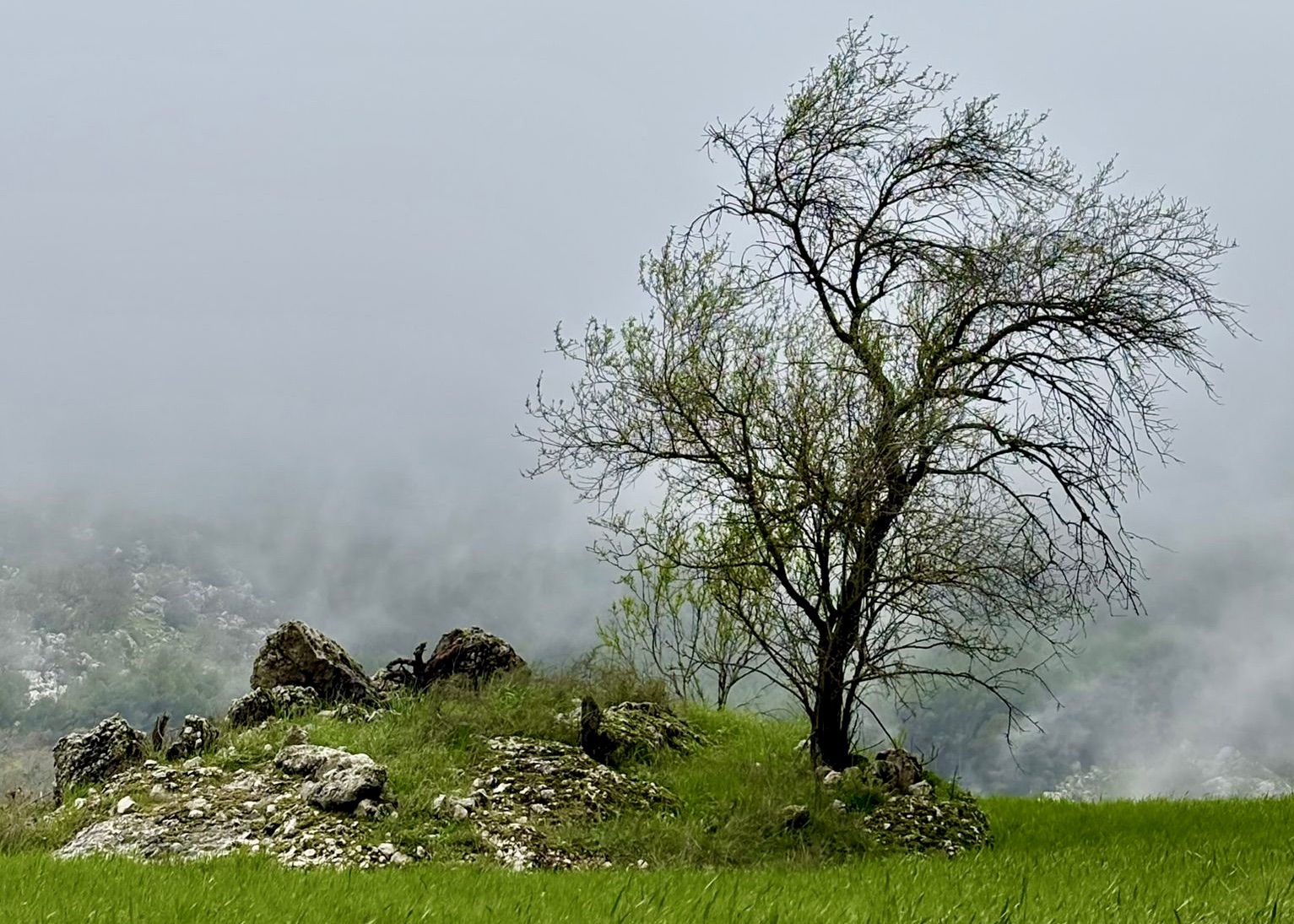 PHOTO-2026-03-20-17-21-01