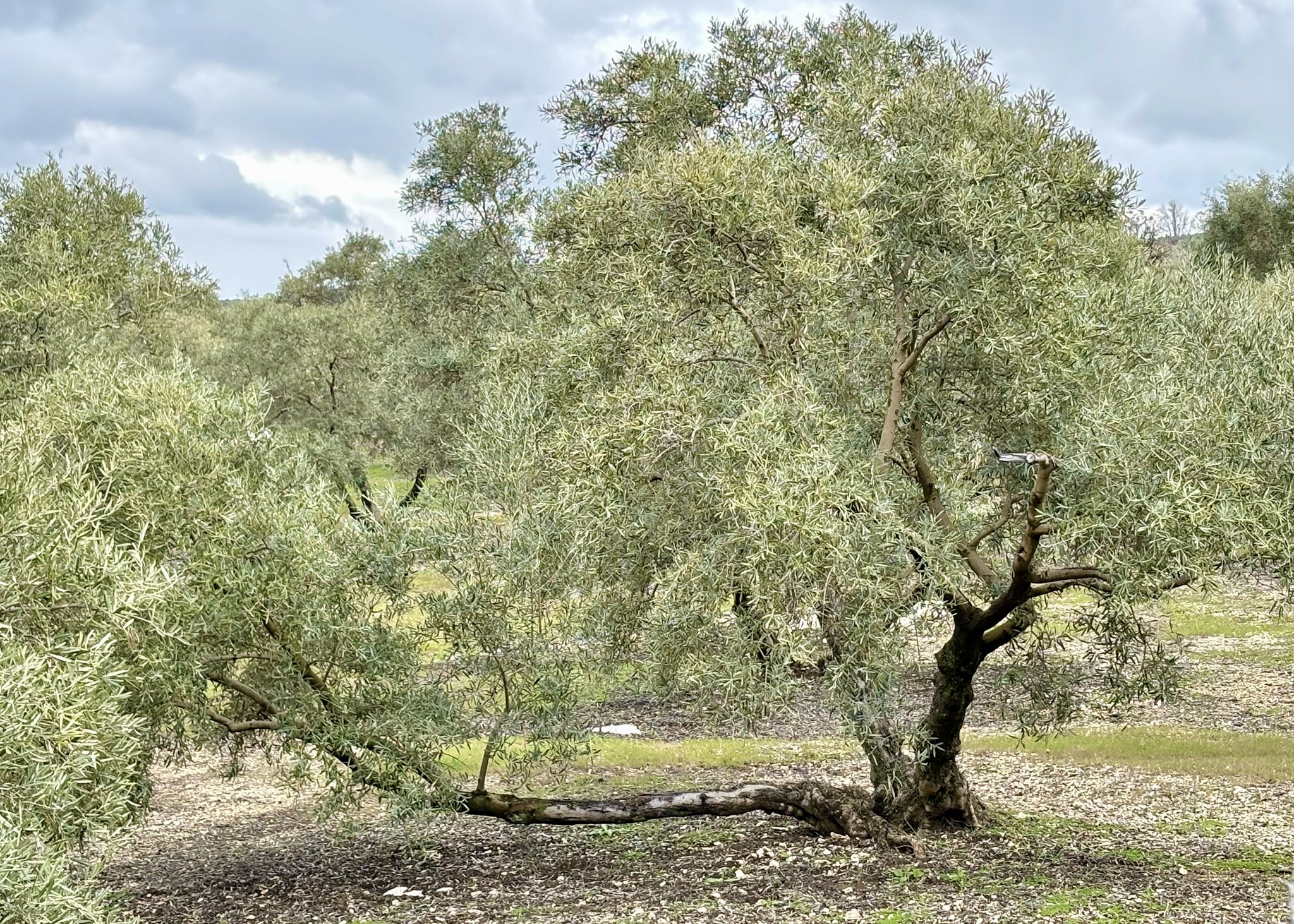 PHOTO-2026-03-20-17-21-05