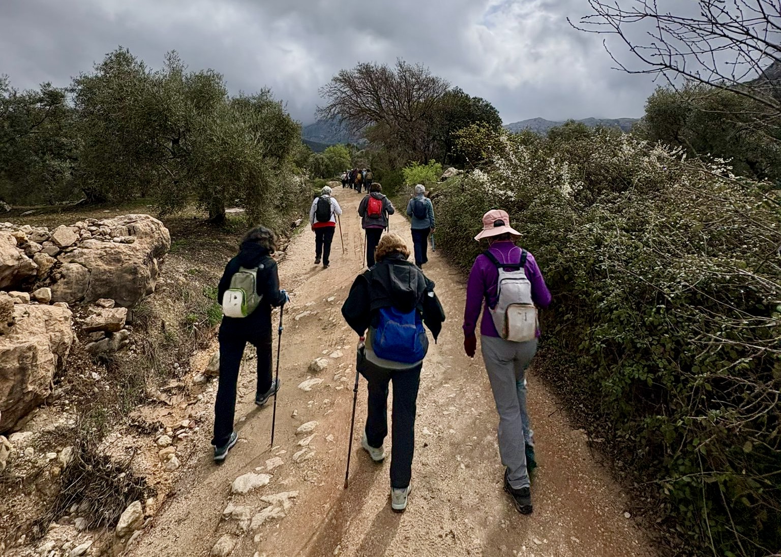 PHOTO-2026-03-20-17-21-06 (1)