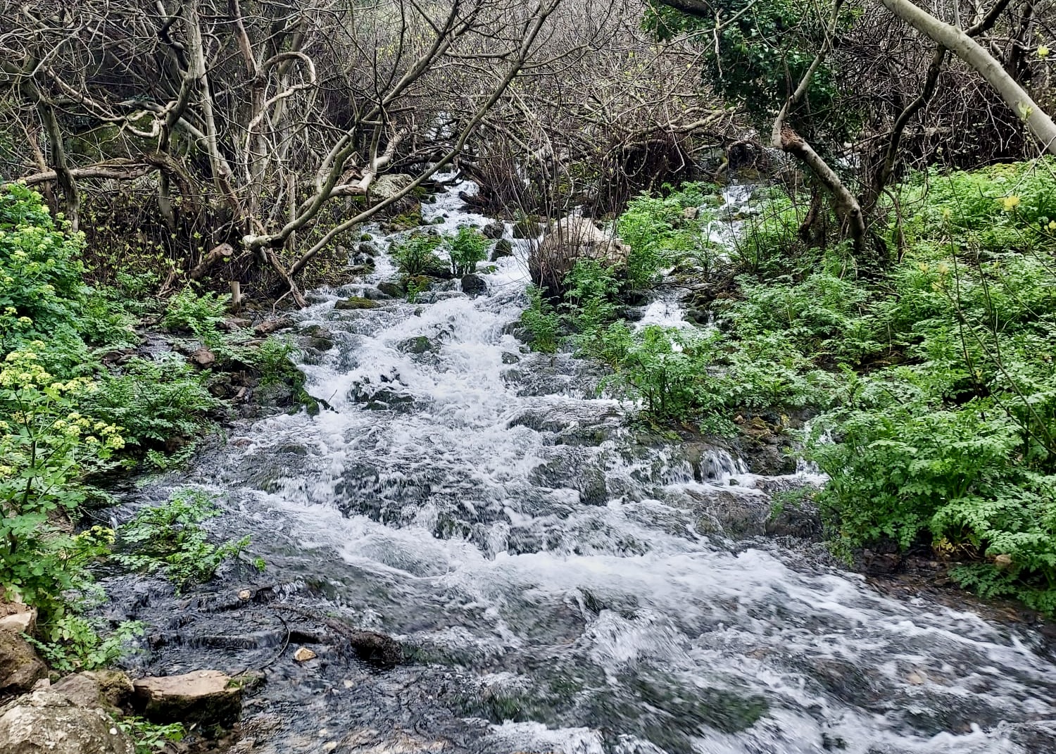 PHOTO-2026-03-20-18-21-07