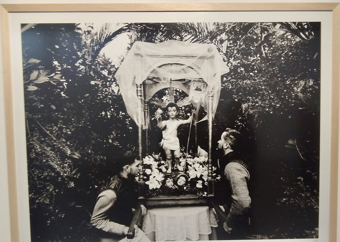 PHOTO-2026-04-09-13-20-38