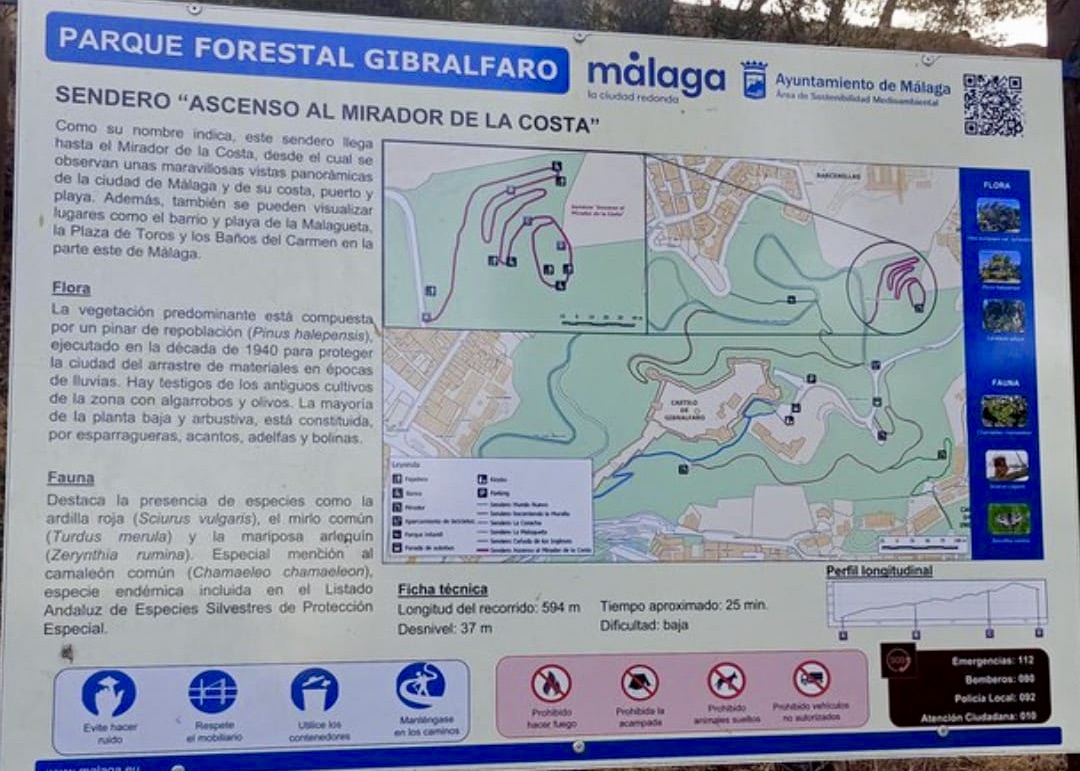 PHOTO-2026-09-18-11-25-14